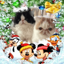 Chriscott Bee Bardot & her daughter