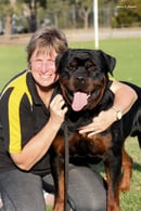 Yarnix Rottweilers - Rottweiler Breeder - Darwin, NT