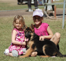 LaGuardia German Shepherds - German Shepherd Breeder - Queensland