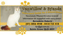 Vanwillow & Byanda - Turkish Van and Oriental Cat Breeder - Brisbane, QLD