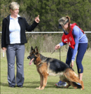 FREMONT Kennels - German Shepherd Breeder - Newcastle, NSW