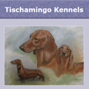 Tischamingo Kennels - Dachshund Breeder, Newcastle