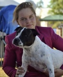 Costalot Kennels - Staffordshire Terrier Breeder -  Gayndah, QLD