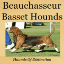 Beauchasseur Kennels & Basset Hound Breeder - South Australia