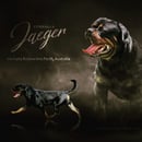 VONHALLA Rottweilers - Rottweiler Breeder - Perth, WA