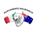 Dellbianco PMA - Maremma Sheepdog Breeder - Clarence, NSW