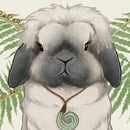 Raggamuffin Rabbitry - Leopold, VIC