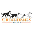 MacTrim Great Danes - Great Dane Breeder - Harrisville, QLD