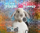 Beatbox Bunnies - Mini Lop Rabbit Breeder - VIC