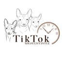 TIKTOK Xolitzcuintle - Miniature Xoloitzcuintle Breeder - Bakers Hill, WA