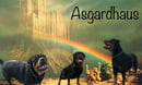 Asgardhaus Kennels - Rottweiler breeder- Melbourne,VIC