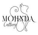 Mojinda Cattery - Maine Coon and Burmese, Cat Breeder - Glenhaven, NSW