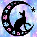 CRESCENTMOON Cattery -Sphynx Cat Breeder - Adelaide, SA