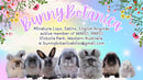 BunnyBotanica Rabbitry - Mini Lops, Satins, English Angoras