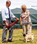 KHEIREDDIN PUGS GOULBURN
