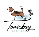 Tonicbay Beagles