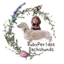 RubyPeridot Dachshunds 