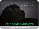 Zuhraan English Pointer dogs & Purebred Arabian horses