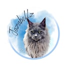 Jazabellzcoonz -  Maine Coon Cat Breeder