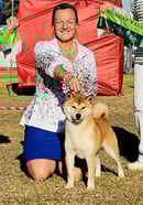 Kortmar Shiba Inu 