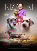 Kizatri Dachshunds 