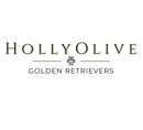 HollyOlive Golden Retrievers