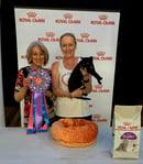 Bahati Cattery - Mandalay and Burmese Cat Breeder - Brisbane, QLD