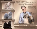 THAATZ Havanese