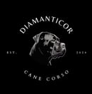 Diamanticor Cane Corso 