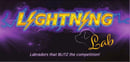 Lightninglab Labradors 