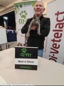 MaLishKa Russian Blues