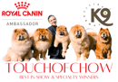 Touchofchow Chow Chows - Adelaide, SA