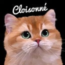 Cloisonné Golden British Shorthair & Longhair Melbourne