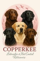 Copperkee Labradors & Flat Coated Retrievers