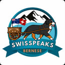 Swisspeaks Bernese Mountain Dogs