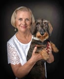 Wallabywire Wire Haired Dachshunds
