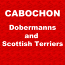 Cabochon - Dobermann Breeder - Tungamah, VIC