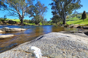 Pet Friendly Accommodation Tumut, NSW - Elm Cottage - Luxury Dog Friendly Accom.