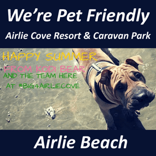 Pet Friendly Accommodation, Airlie Beach, Whitsundays QLD - BIG4 Airlie Cove Resort and Caravan Park - 