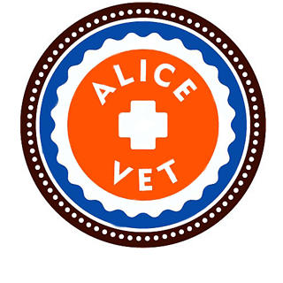 Alice Springs Veterinary Hospital - After Hours & Emergency Vet Service