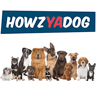 Howz Ya Dog Home Stays - Home Dog Care Best and MOST Trusted in Adelaide