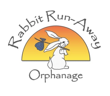 Rabbit Run-Away Orphanage - Rabbit rescue and welfare - Melbourne