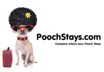 Compare where your Pooch Stays