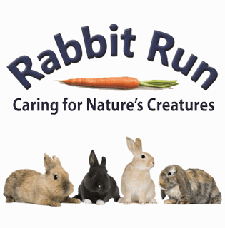 Rabbit Run - Rabbit Dating, Rabbit Minding - Melbourne