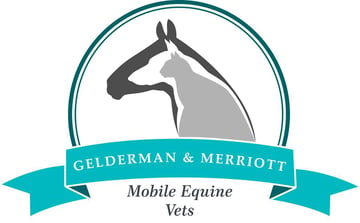 Mobile Equine Vet - Small Animal & Equine Mobile Vet Service - Southern Highlands