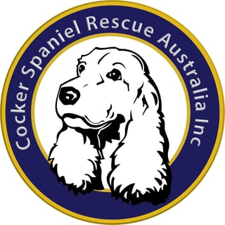 Cocker Spaniel Rescue Australia 