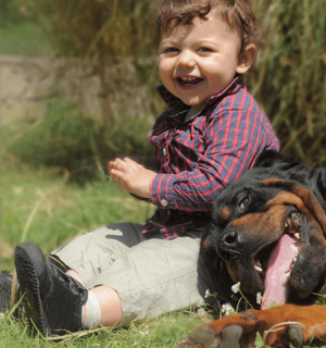 Dog Consultancy - Dog trainer Hamley Bridge, South Australia