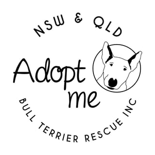 NSW Bull Terrier Rescue Inc.