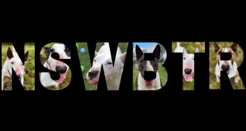 NSW Bull Terrier Rescue Inc.