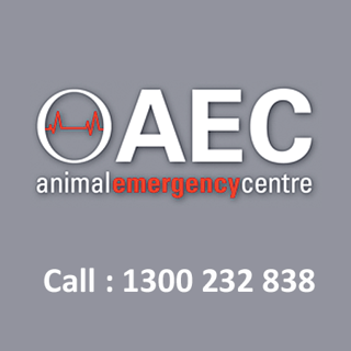 Animal Emergency Centres - Central Coast, NSW